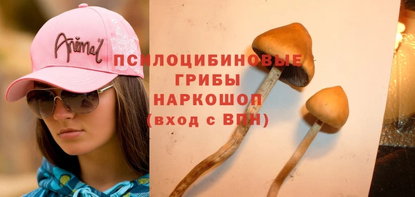 СК Лагань